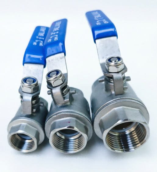 I-valve yebhola eneziqephu ezimbili